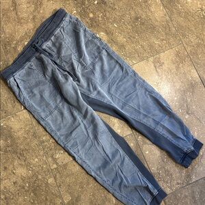 Sundance Blue joggers, L